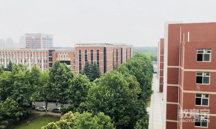 北大学城总部周边环境